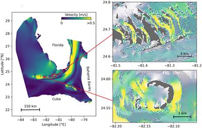 Coupled Epidemio-Hydrodynamic Modeling to Understand the Spread of a Deadly Coral Disease in Florida